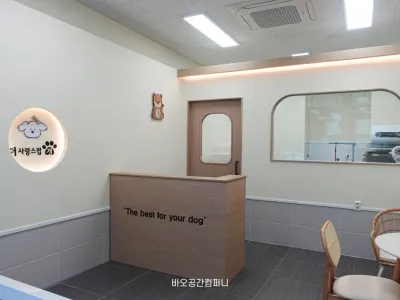 대구,애견미용실