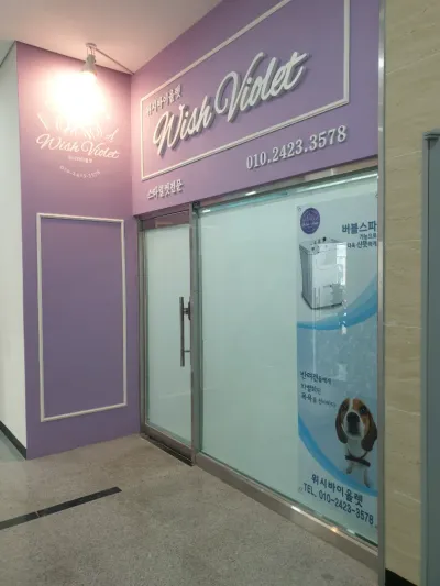 안양 애견미용실 인테리어 – 반려동물과 함께하는 따뜻한 공간 