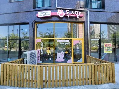 애견샵 인테리어