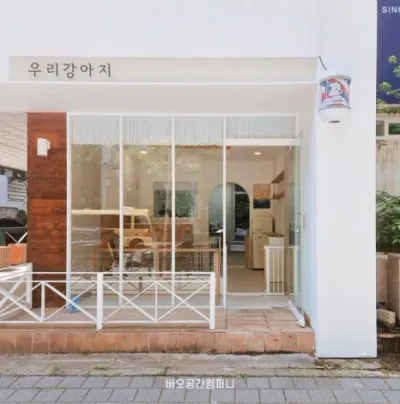 대구,애견미용실