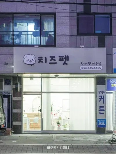 대구,애견미용실