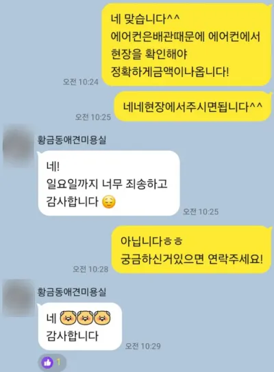 대구,애견미용실