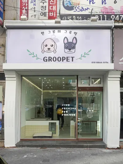 대구,애견미용실