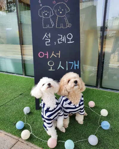 파주,카페